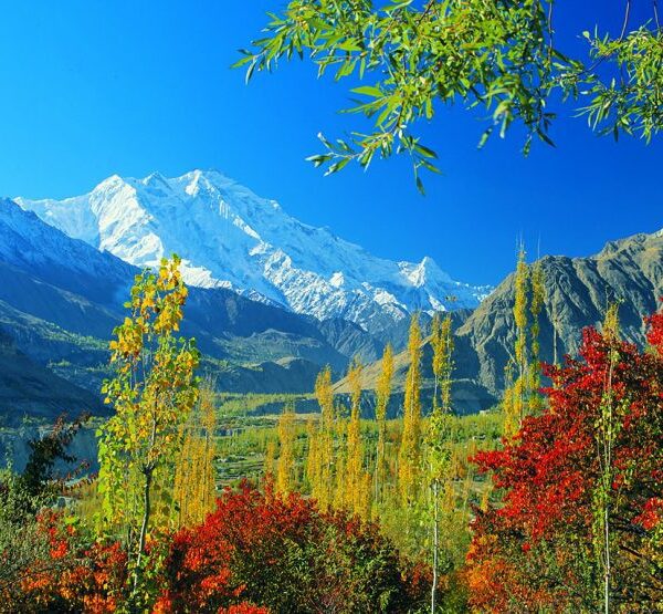 Rakaposhi-Expedition-Full-Board-Package