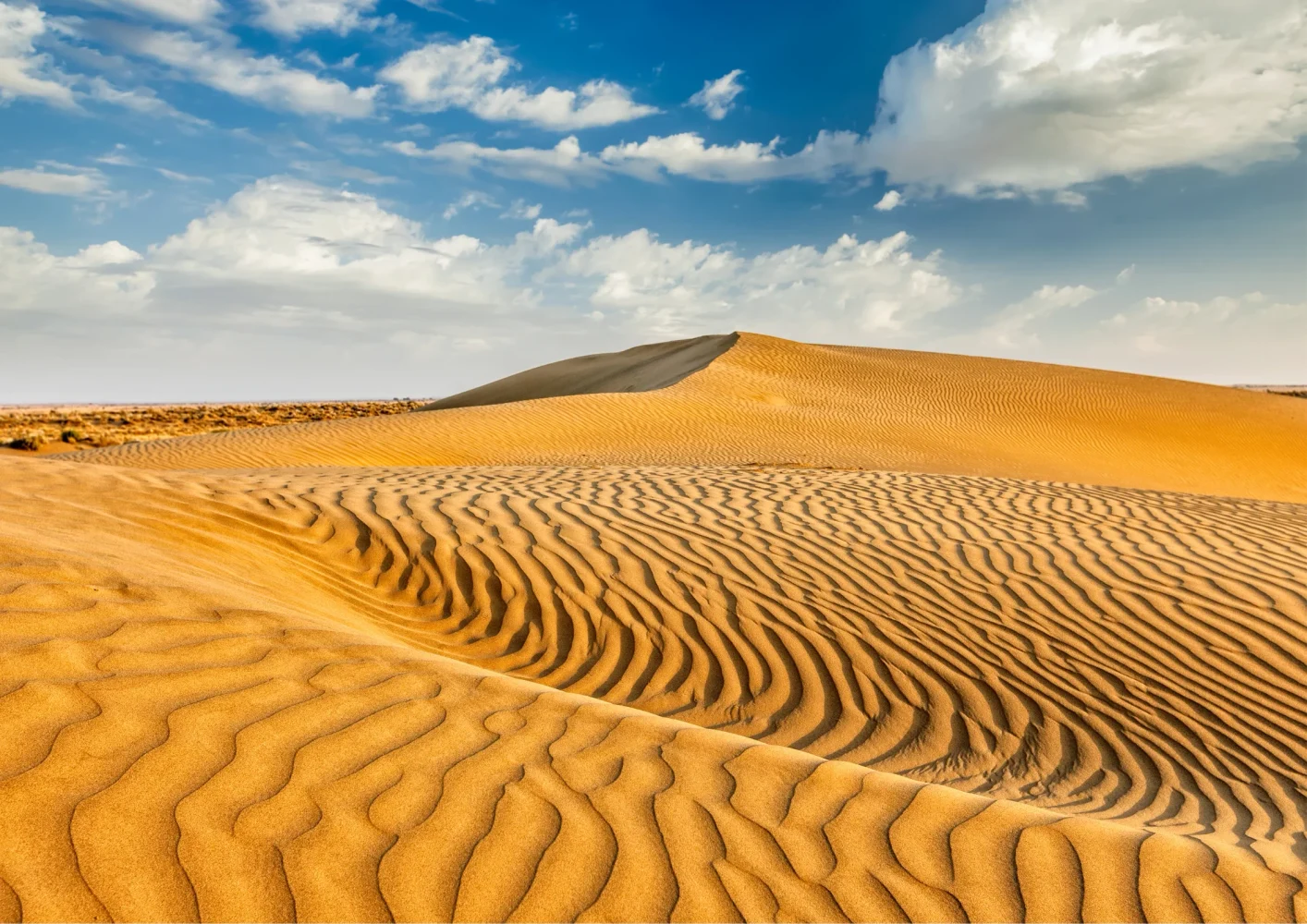 Thar-Desert (2)